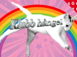 Bild på en vit katt med ett enhörningshorn som hoppar framför en regnbåge. Framför står det Klubb hångel 